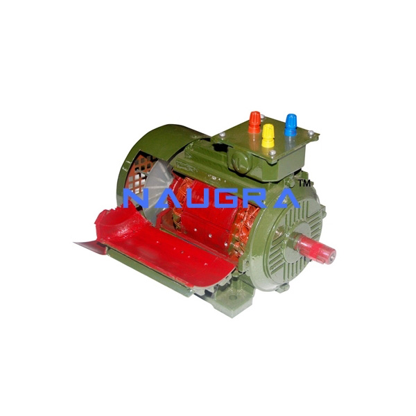 Sectional Front View of DC Motor