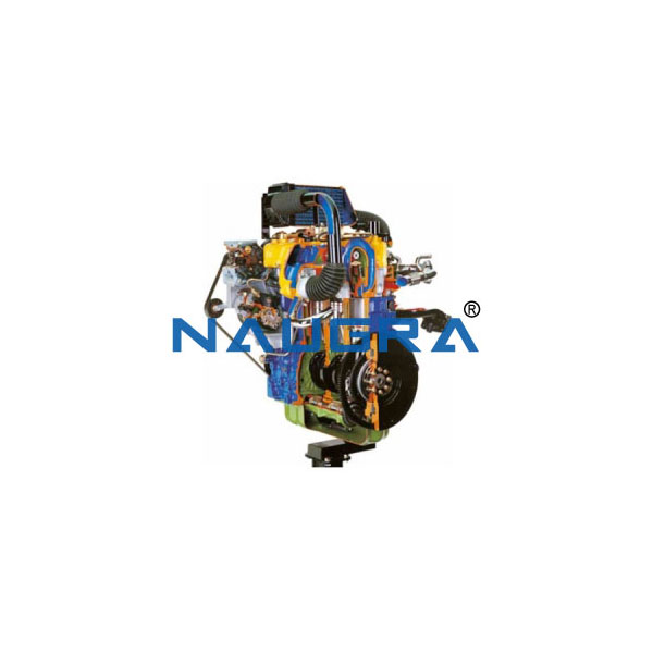 Cut Model Of Common Rail Turbo Diesel Engine