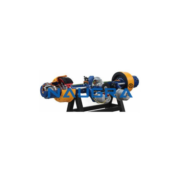 Cut Model Of Rear Axle With Locking Differential