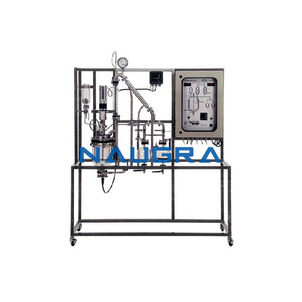 Manual Batch Reaction Pilot Plant With Data Acquisition