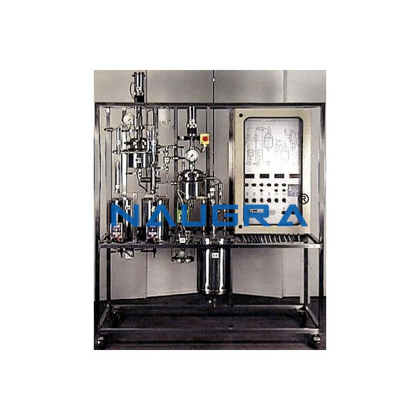 Manual Stirred Continuous Reaction Pilot Plant