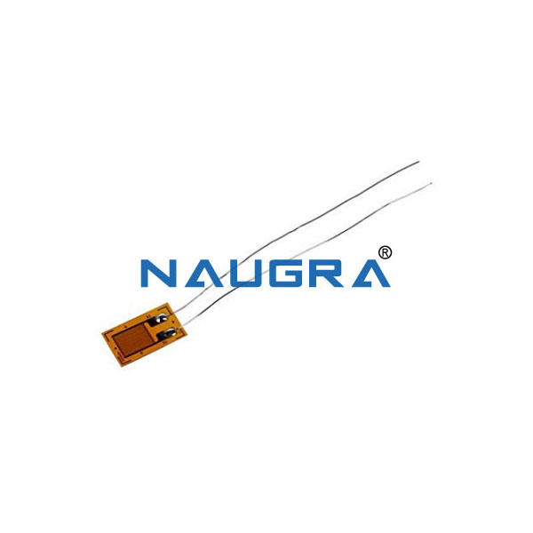 Strain Gauge
