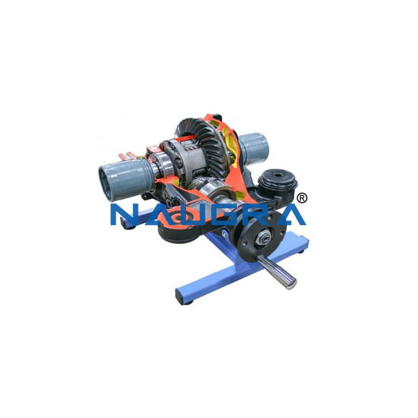 Working Model Of Torsion Differential