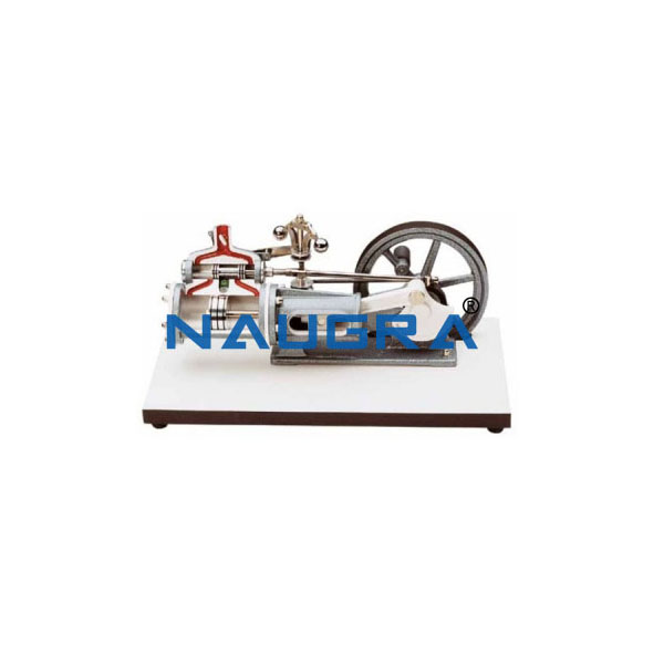 Steam Engine Model