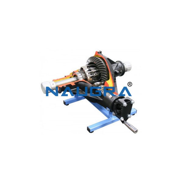 Working Model Of Clutch Type Differential