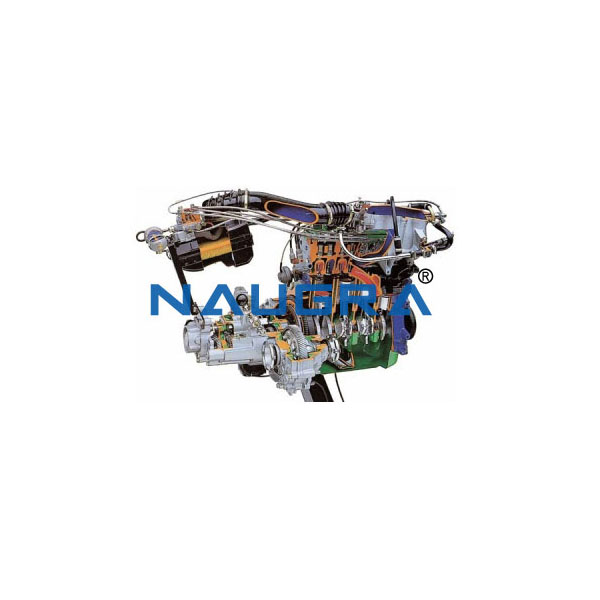 Working Model Of MPFI Petrol Engine