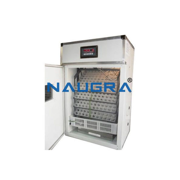Egg Incubator