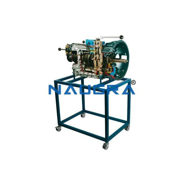Sectioned Truck Gearbox Trainer